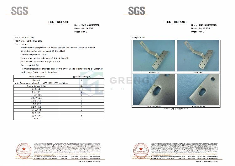 XMIN1809006751 SGS test report of  slate tile hooks