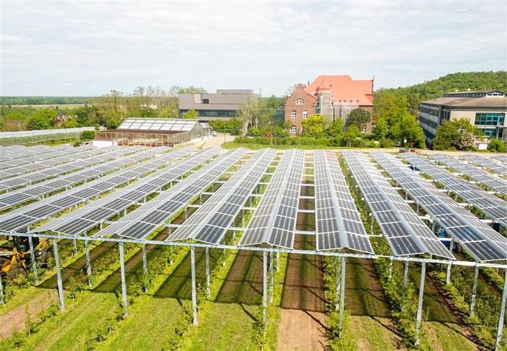 Agricultural PV Mounting Structures