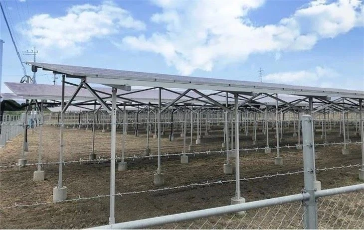 High-Clearance Agrivoltaic Mounting Systems For Farm Productivity factory
