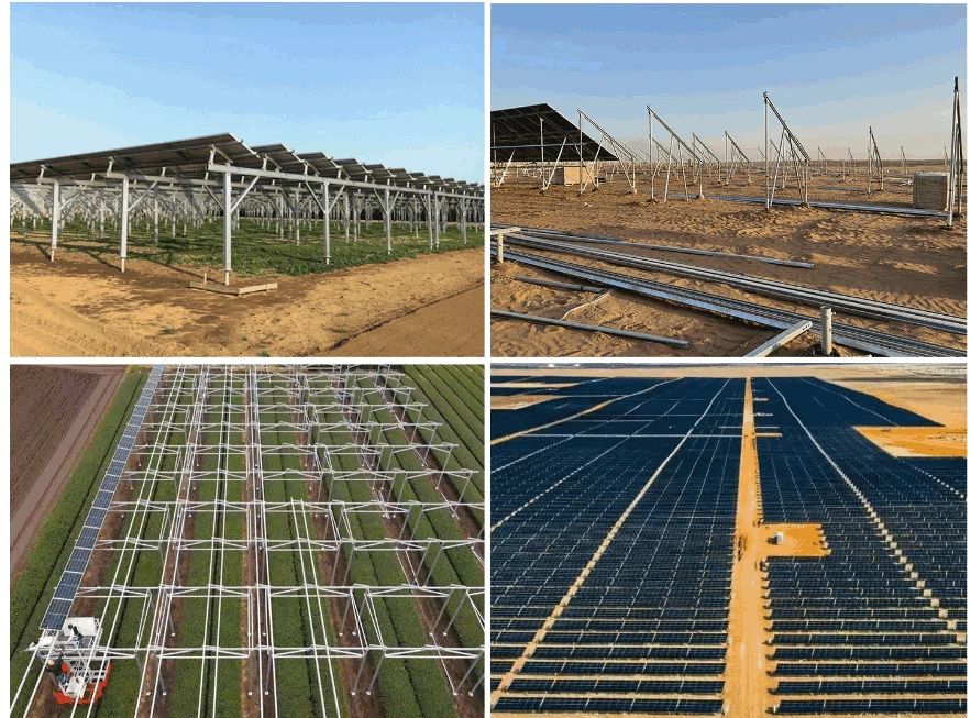 product-883-653 product-883-653