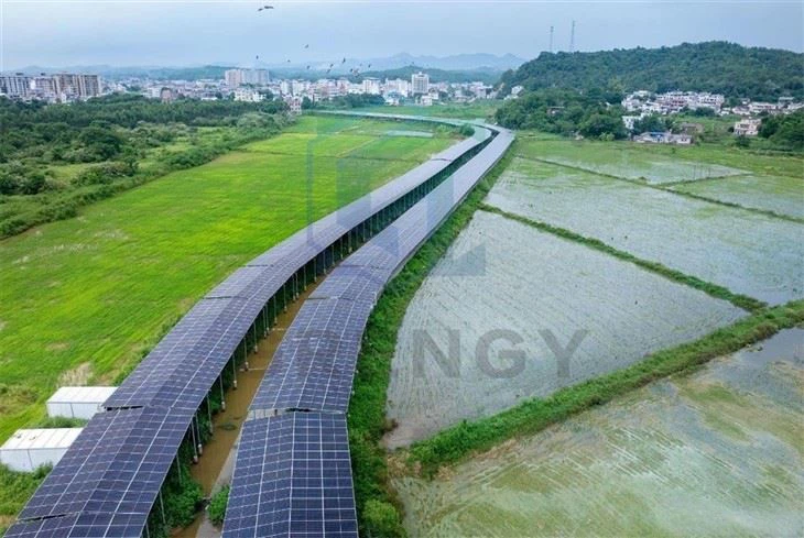 Solar Bike Lane